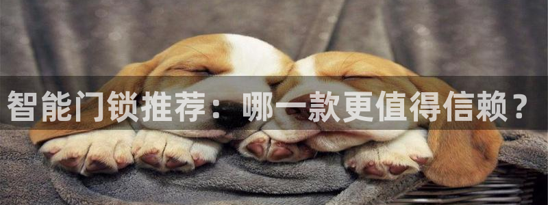 jdb游戏玩哪个：智能门锁推荐：哪一款更值得信赖？
