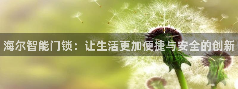 jdb电子金刚：海尔智能门锁：让生活更加便捷与安全的创新
