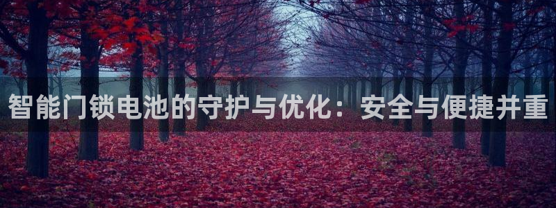 jdb电子官网 ly79,cn：智能门锁电池的守护与优化：安