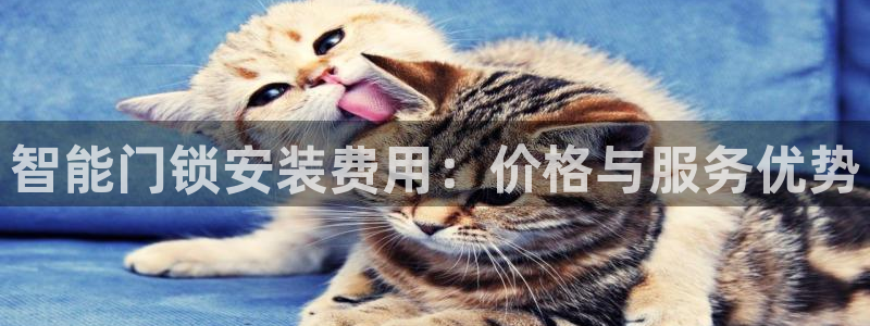 jdb电子游戏大奖：智能门锁安装费用：价格与服务优势
