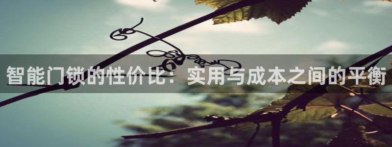 jdb entertainment：智能门锁的性价比：实用与