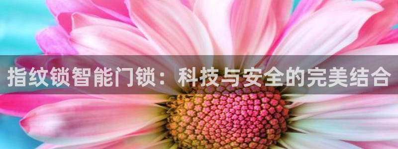 jdb电子平台网址大全：指纹锁智能门锁：科技与安全的完美结合