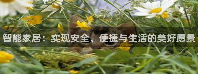 JDB平台维护一般多久