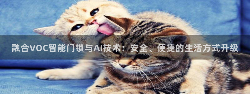 jdb电子游戏有多坑：融合VOC智能门锁与AI技术：安全、便