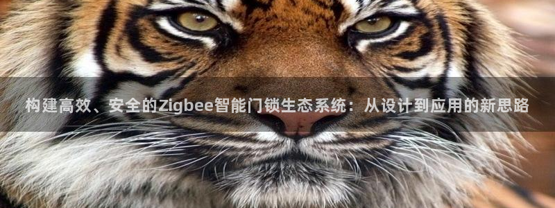 jdb电子试玩app下载：构建高效、安全的Zigbee智能门
