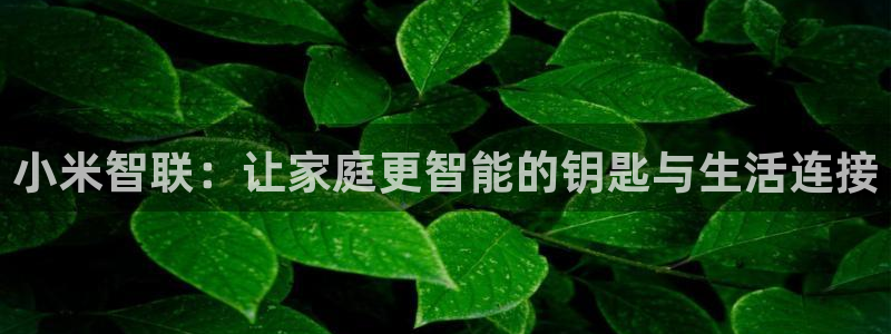 jdbc.database=cms：小米智联：让家庭更智能的