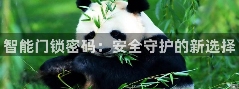 jdb是什么公司：智能门锁密码：安全守护的新选择