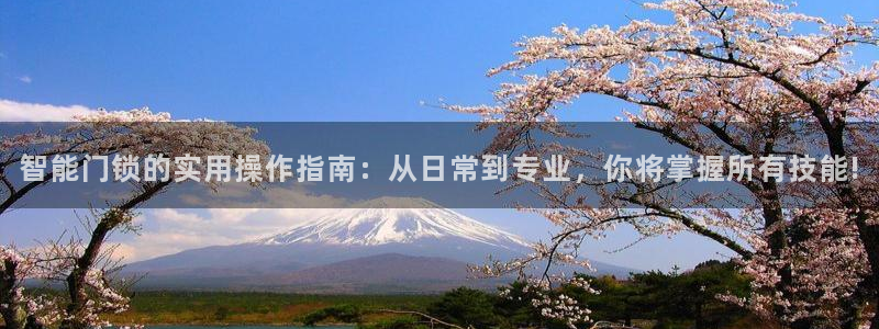 jdb电子变脸倍数：智能门锁的实用操作指南：从日常到专业，你