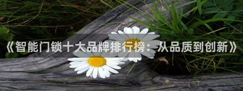 jdb电子台湾黑熊：《智能门锁十大品牌排行榜：从品质到创新》