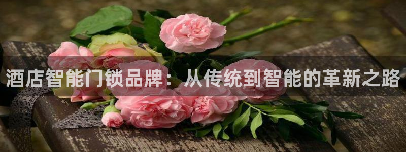 jdb电子台湾黑熊怎么玩：酒店智能门锁品牌：从传统到智能的革