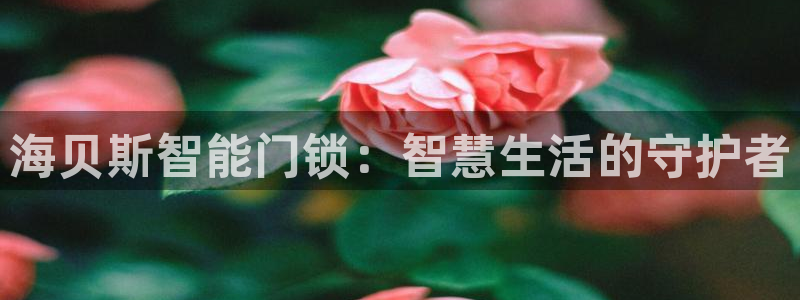 jdb电子官网入口App：海贝斯智能门锁：智慧生活的守护者