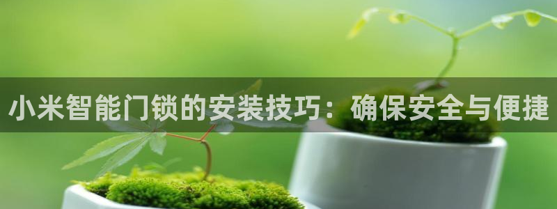 jdbcname：小米智能门锁的安装技巧：确保安全与便捷