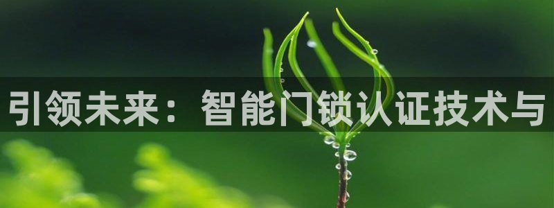 下载jdbc驱动：引领未来：智能门锁认证技术与