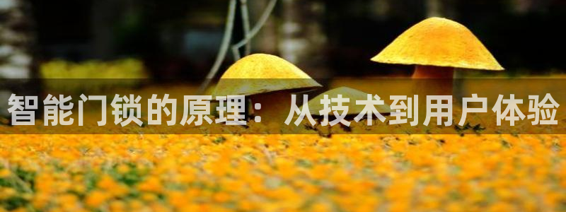 jdb电子平台能提现吗是真的吗还是假的：智能门锁的原理：从技