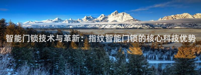 jdb电子游戏网址大全：智能门锁技术与革新：指纹智能门锁的核