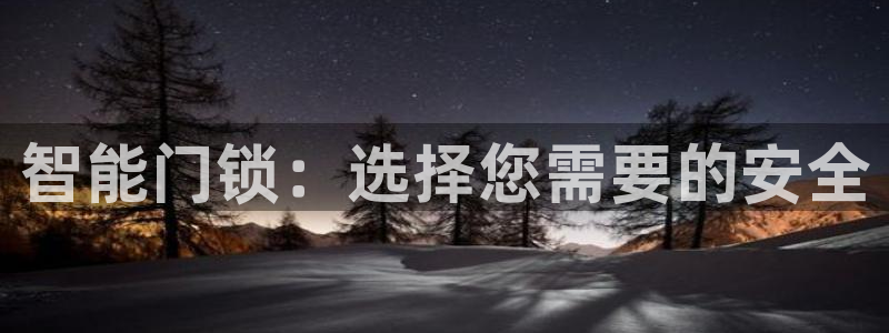 jdbc实现注册功能：智能门锁：选择您需要的安全