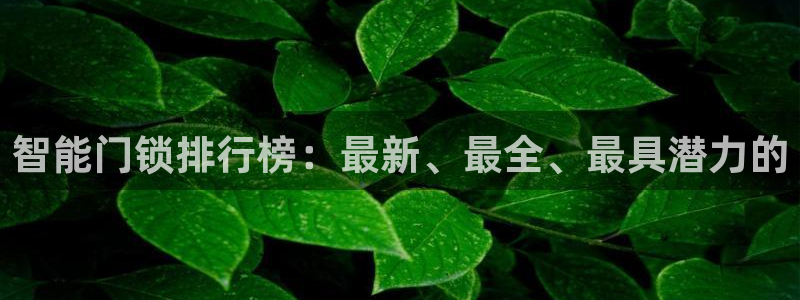 jDB电子黄金王牌：智能门锁排行榜：最新、最全、最具潜力的