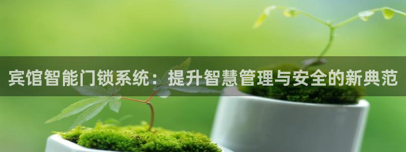 jdbc在哪下载：宾馆智能门锁系统：提升智慧管理与安全的新典