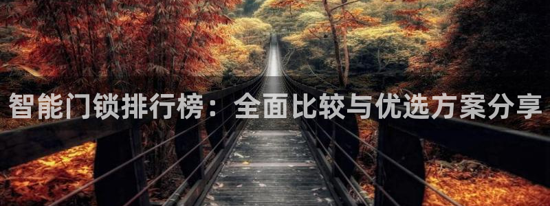 jdb电子游戏视频：智能门锁排行榜：全面比较与优选方案分享