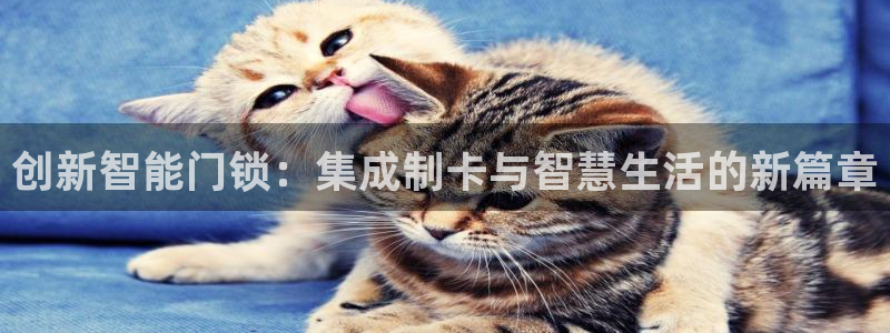 JDB平台最简单下载：创新智能门锁：集成制卡与智慧生活的新篇