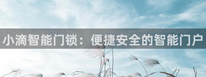 jdb游戏大厅：小滴智能门锁：便捷安全的智能门户