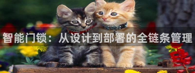 jdb电子试玩app下载：智能门锁：从设计到部署的全链条管理