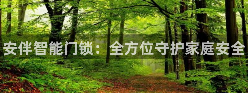 jdb电子采矿宝贝：安伴智能门锁：全方位守护家庭安全