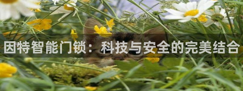 JDB电子公司官网：因特智能门锁：科技与安全的完美结合