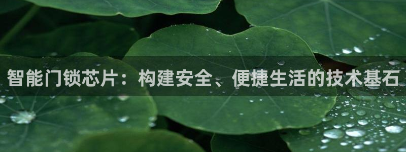 jdb龙舞游戏视频