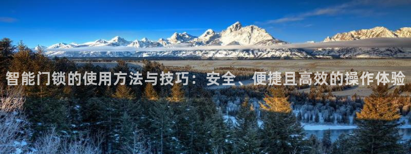 jdb电子官网入口App：智能门锁的使用方法与技巧：安全、便