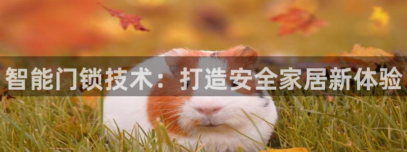 jdb电子哪个游戏好：智能门锁技术：打造安全家居新体验