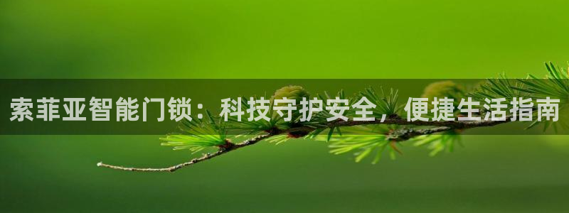jdb电子平台什么好爆：索菲亚智能门锁：科技守护安全，便捷生
