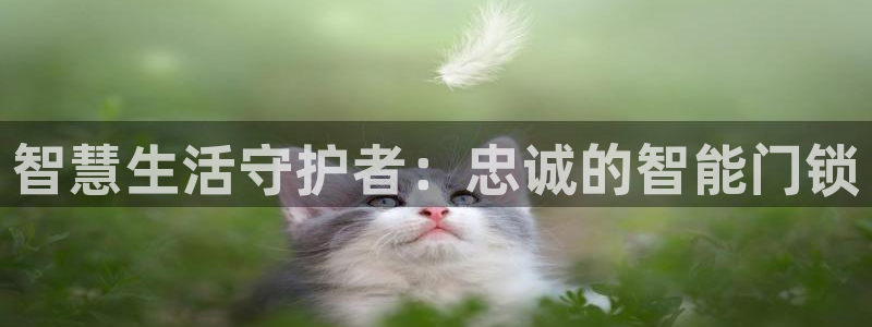 jdb哪个游戏最容易爆奖