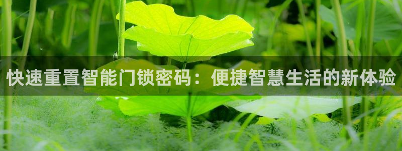 jdb游戏爆分时间段 英文网：快速重置智能门锁密码：便捷智慧