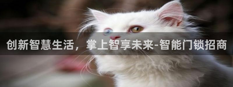 jdb电子平台：创新智慧生活，掌上智享未来-智能门锁招商