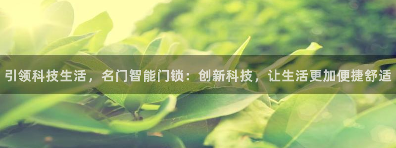 jdb怎么玩出高分：引领科技生活，名门智能门锁：创新科技，让