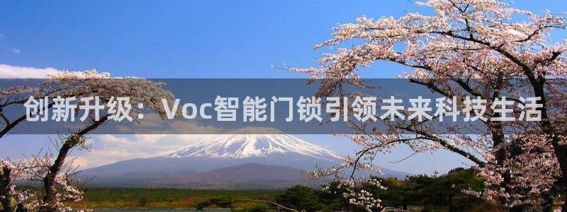 jdb电子台湾黑熊：创新升级：Voc智能门锁引领未来科技生活