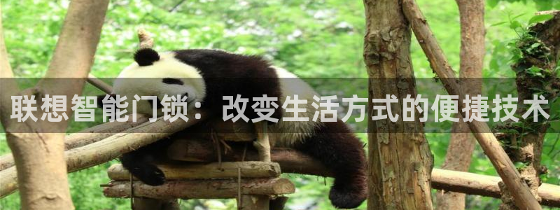 jdb电子夺宝游戏平台：联想智能门锁：改变生活方式的便捷技术