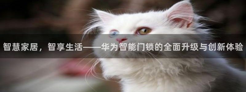 JDB游戏论坛：智慧家居，智享生活——华为智能门锁的全面升级