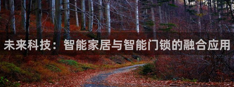 jdb电子模拟器体育官网入口：未来科技：智能家居与智能门锁的