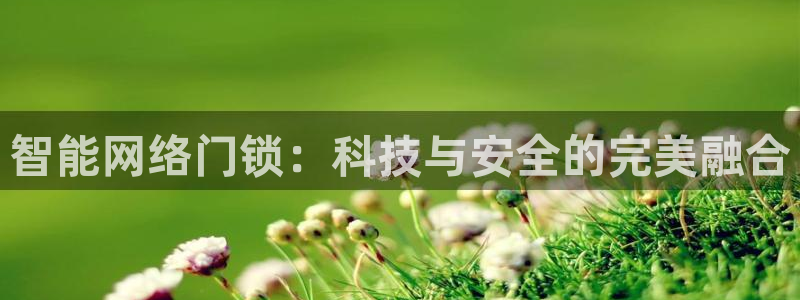 jdb电子游戏视频：智能网络门锁：科技与安全的完美融合