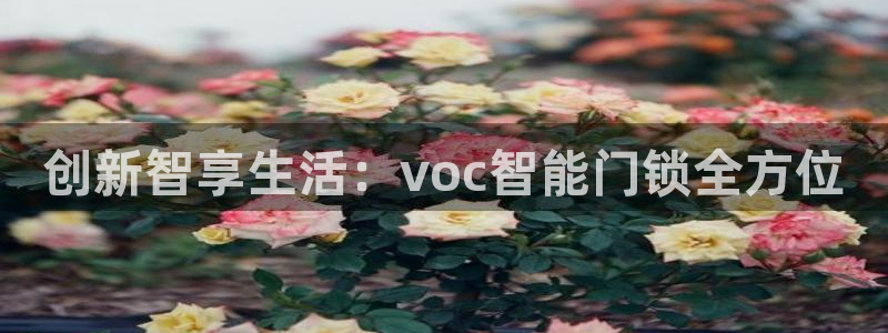 jdb电子试玩app下载：创新智享生活：voc智能门锁全方位