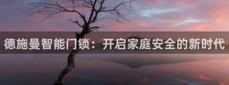 jdb电子爆奖娱乐游戏：德施曼智能门锁：开启家庭安全的新时代