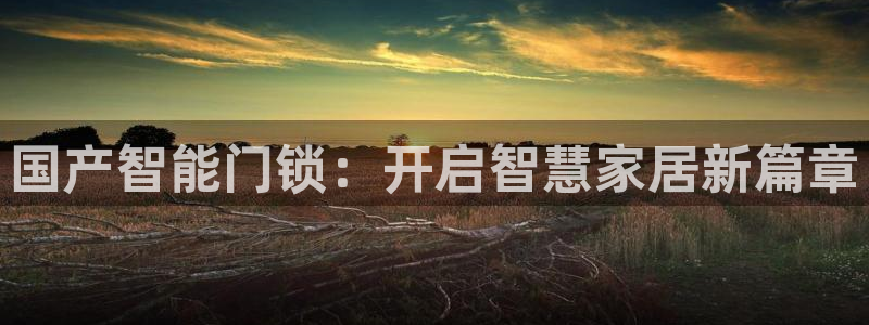 JDB电子公司官网：国产智能门锁：开启智慧家居新篇章