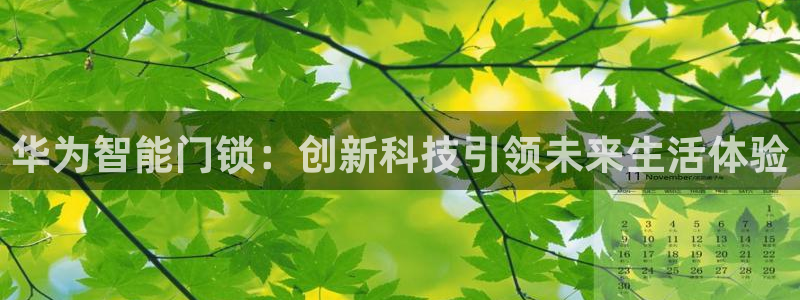 jdb电子模拟器：华为智能门锁：创新科技引领未来生活体验