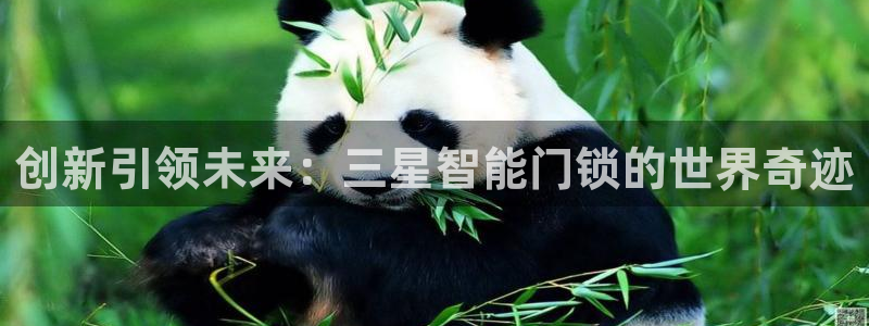 jdb中奖视频：创新引领未来：三星智能门锁的世界奇迹