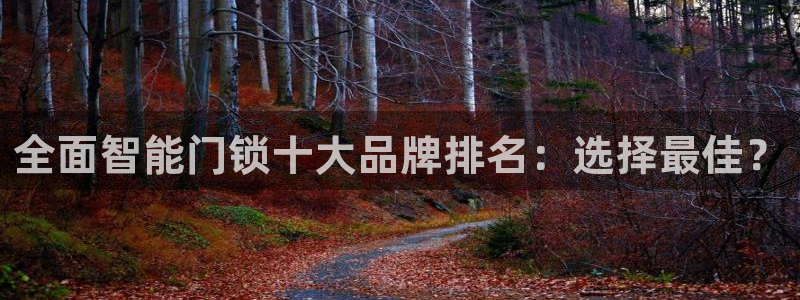 jdb电子游戏作解码：全面智能门锁十大品牌排名：选择最佳？