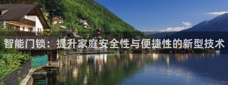 jdb使用：智能门锁：提升家庭安全性与便捷性的新型技术