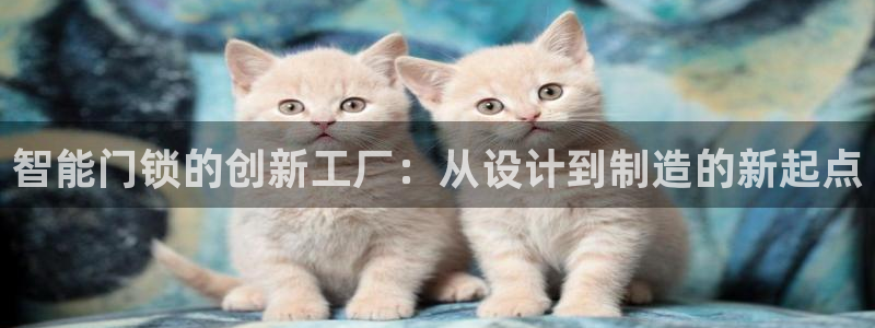 jdb电子可以操控的吗：智能门锁的创新工厂：从设计到制造的新