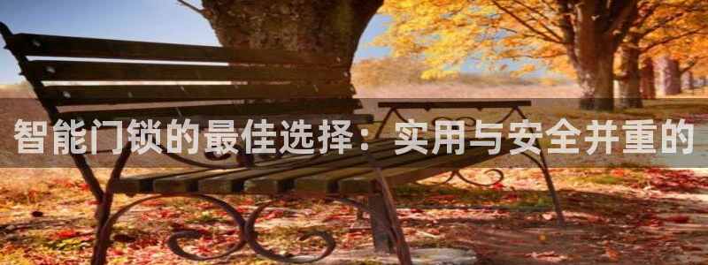 Jdb电子悟空：智能门锁的最佳选择：实用与安全并重的